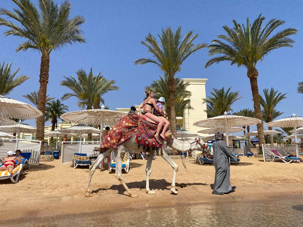 При раннем бронировании фиксируется стоимость тура в валюте, и можно существенно сэкономить.  Фото: Фото: ФедералПресс / Анастасия Алимпиева