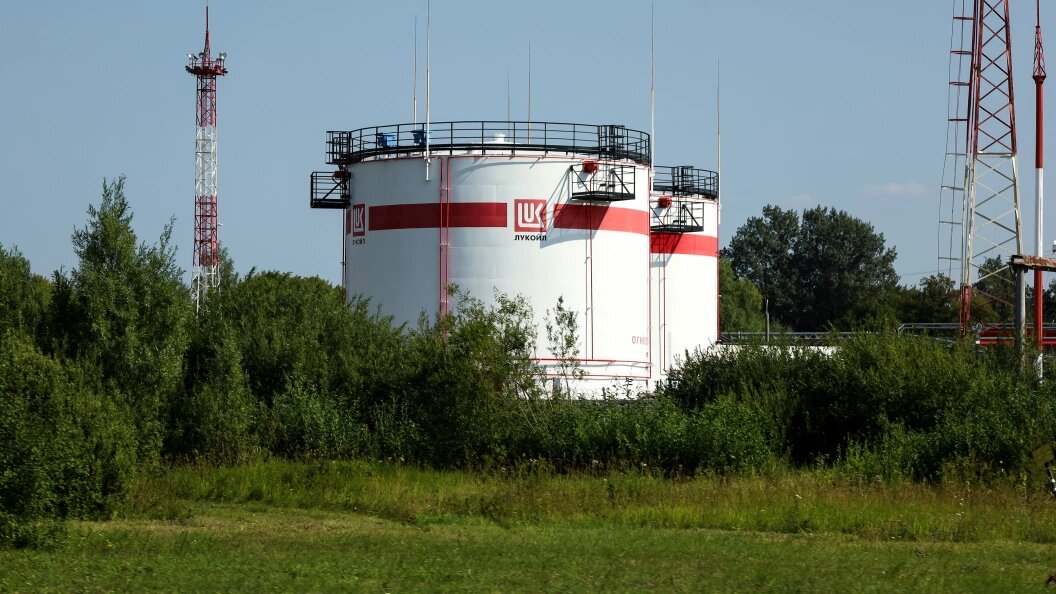    Фото: Elena Mayorova/Global Look Press