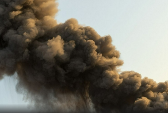    Shutterstock/FOTODOM