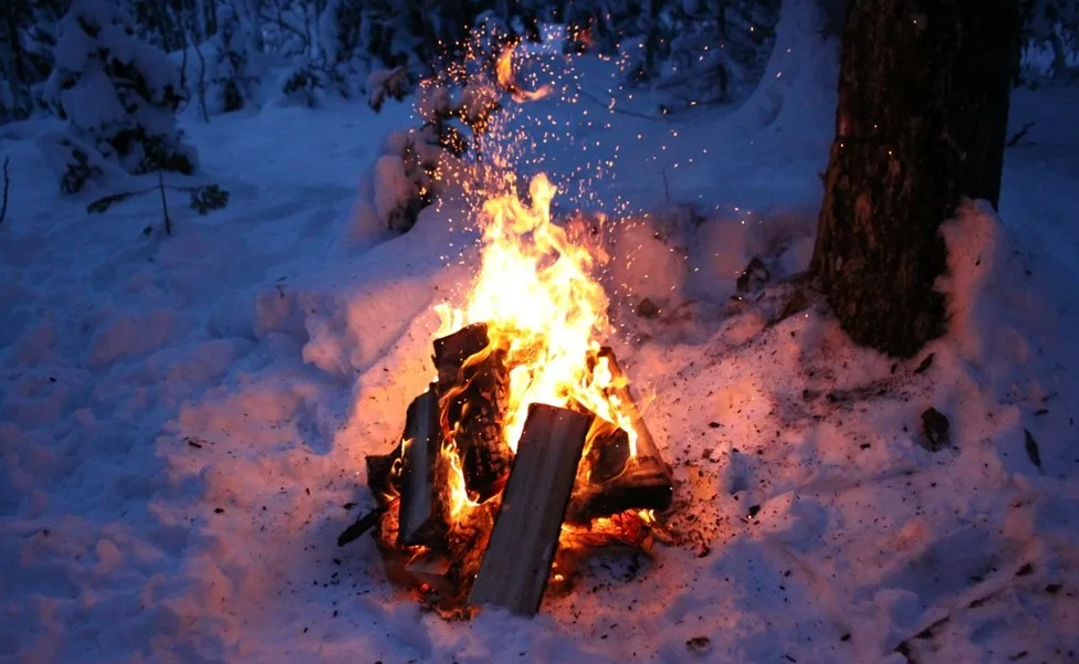 Яндекс картинки