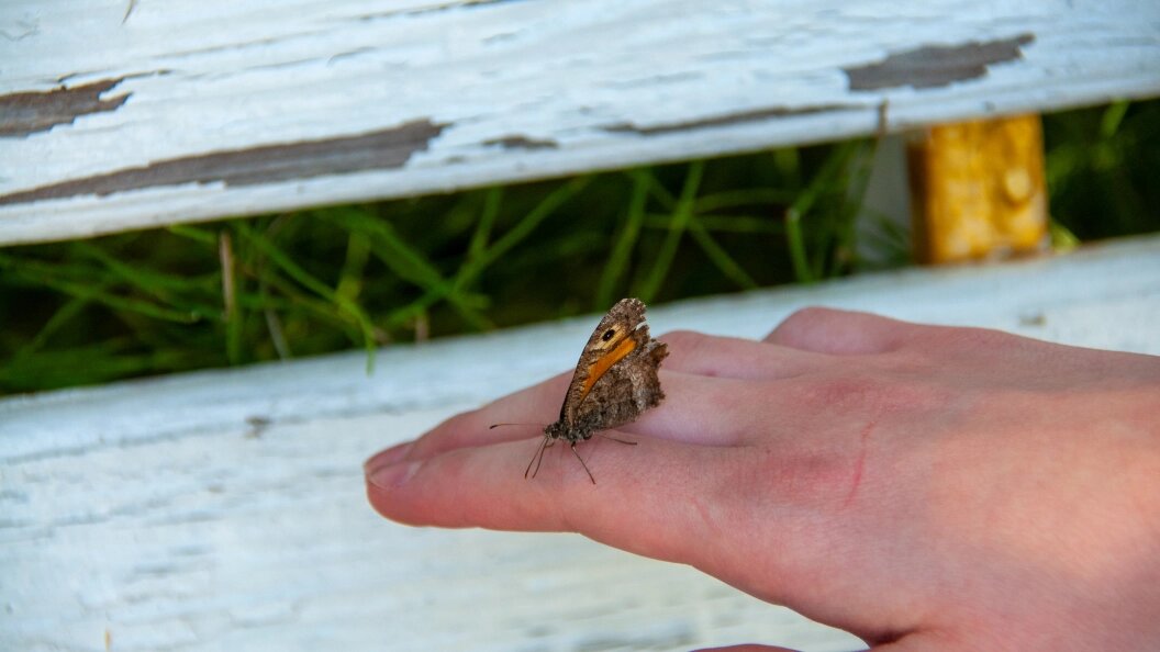    Фото: Svetlana Vozmilova/Global Look Press