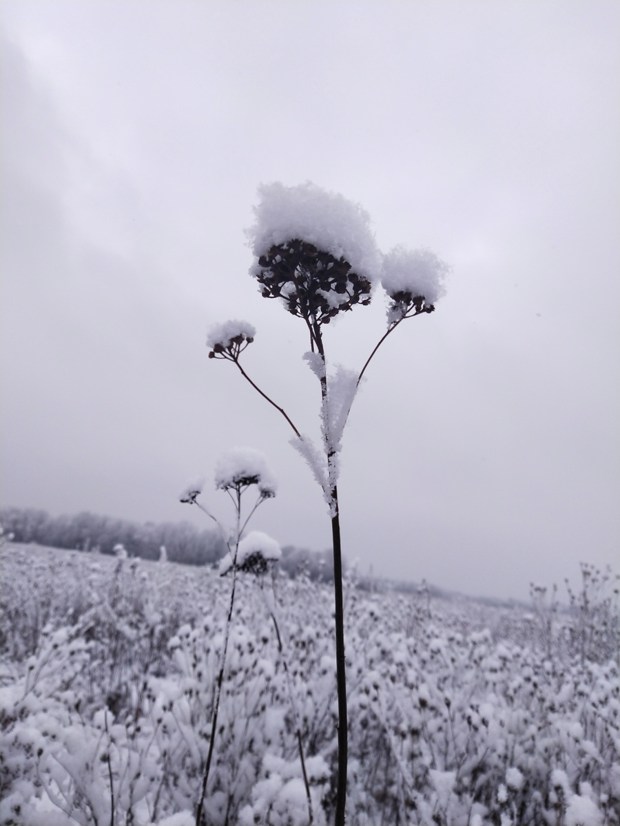 Личное фото