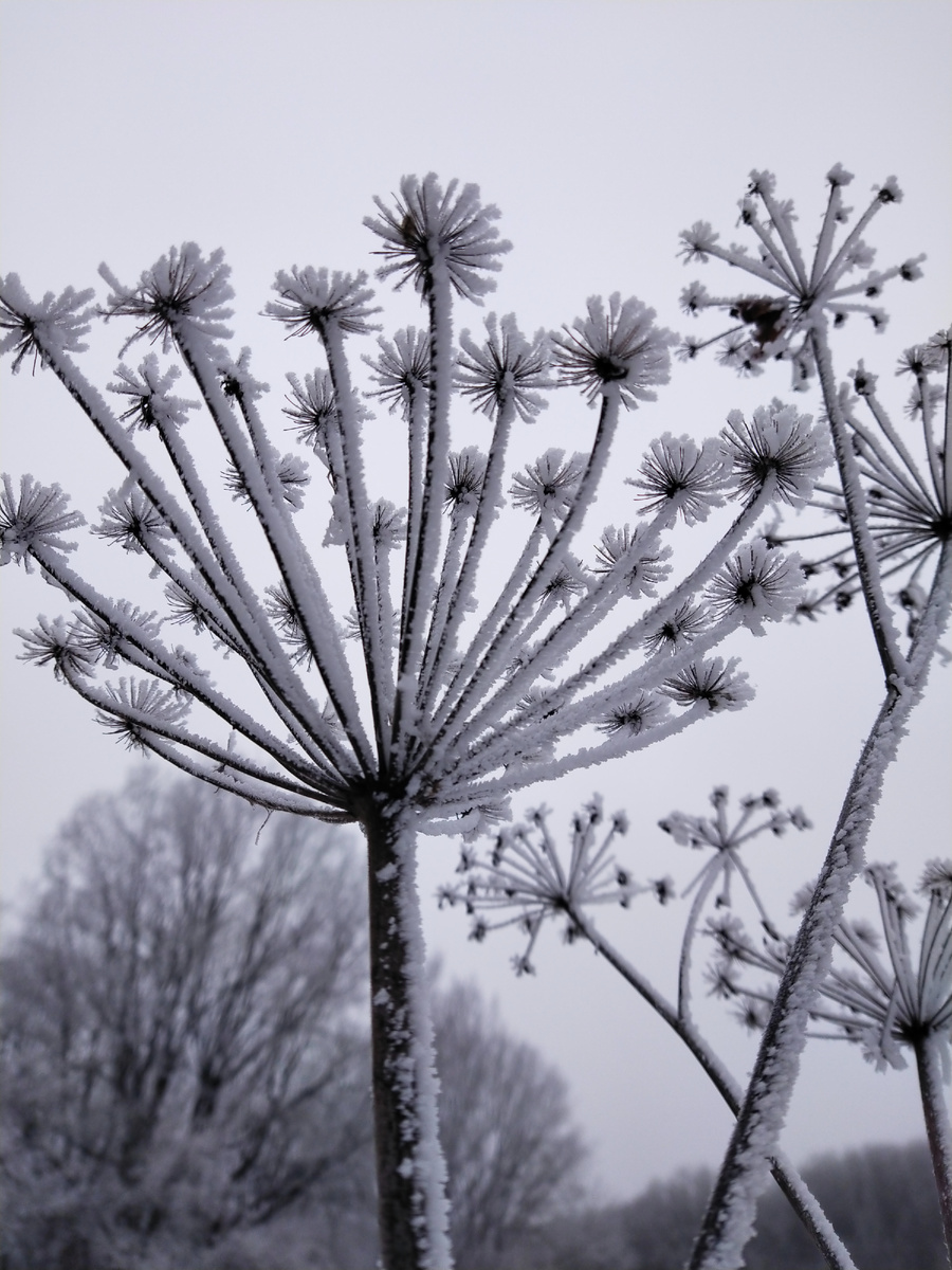 Личное фото