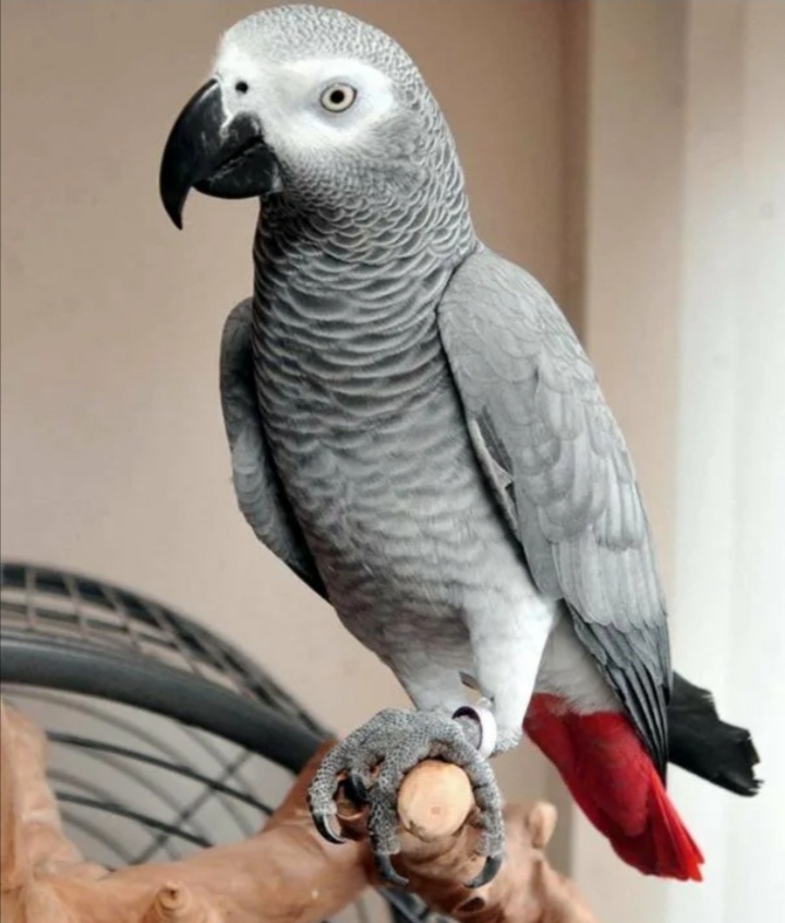 Фото из интернета. 