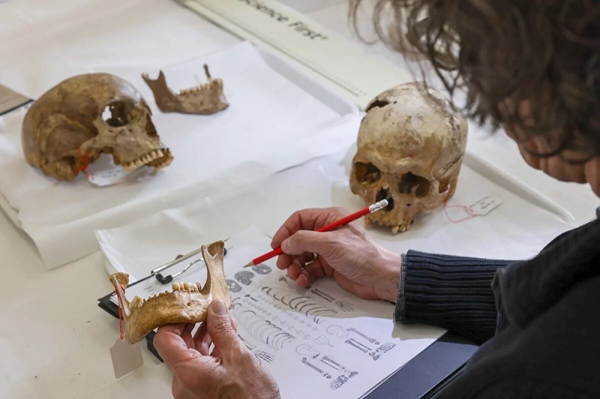    Поле смерти.