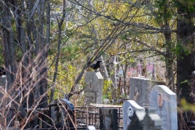    Когда Радоница в 2025 году?