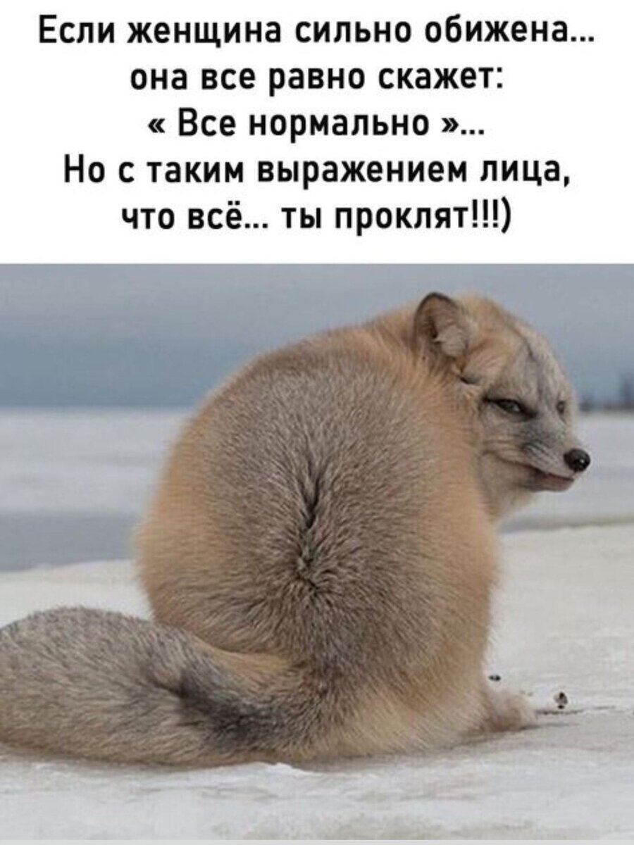Открытки маша и медведь