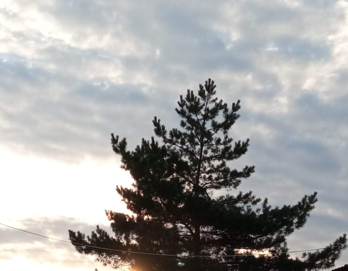 Иногда можно быть одиноким в семье ...( Фото из галереи автора) 