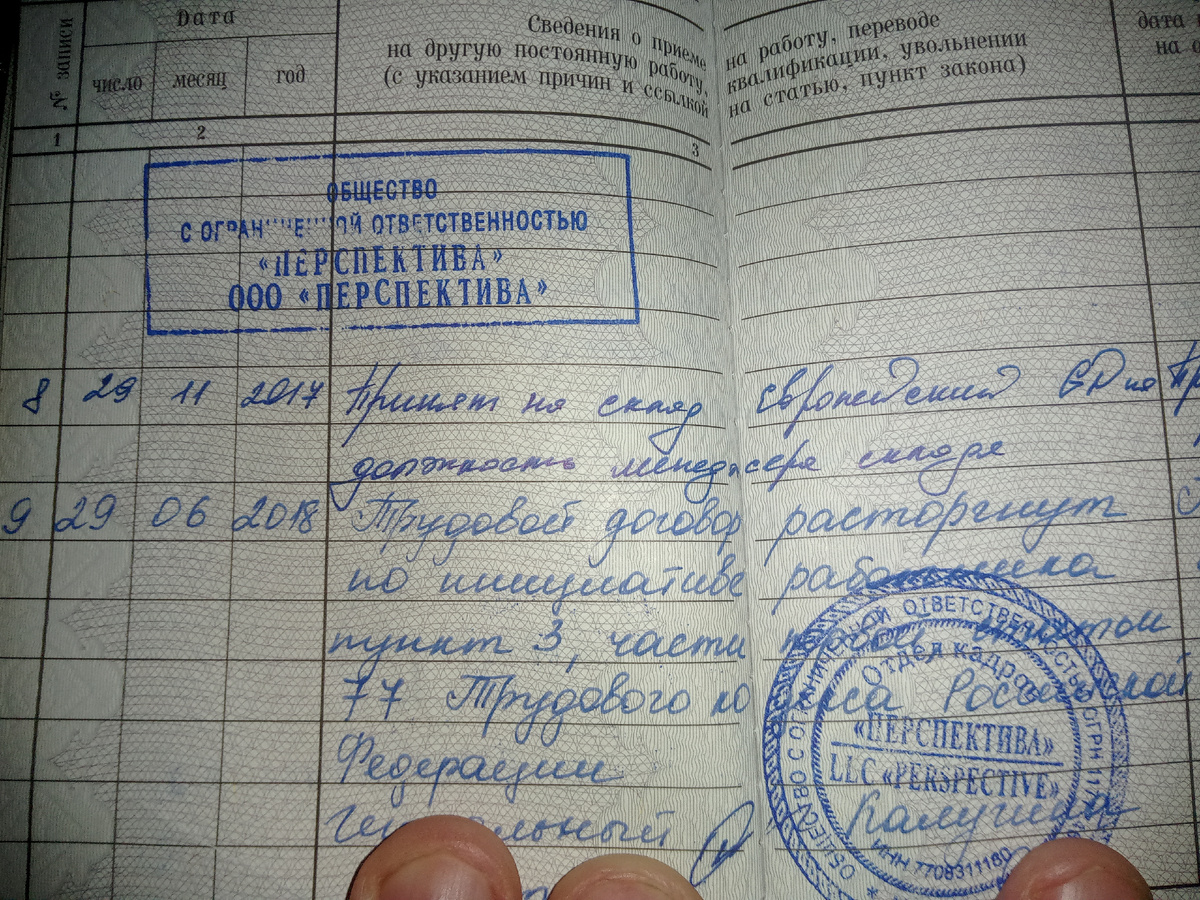 Мое первое место работы в ТЦ Европейский) Самое счастливое и красивое было место работы за всю мою жизнь.... Очень сильно мне там нравилось работать, хоть и зарплата там была совсем небольшая.