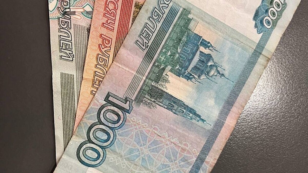    фото: телеканал «Краснодар»