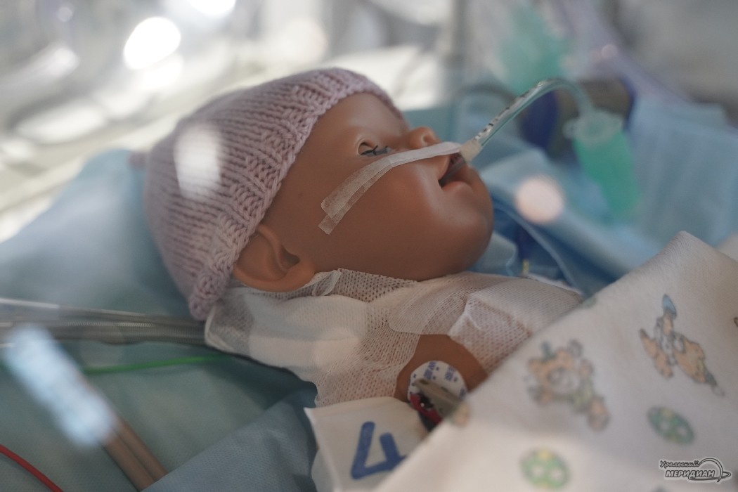    Фото: Лидия Аникина © ИА «Уральский меридиан»