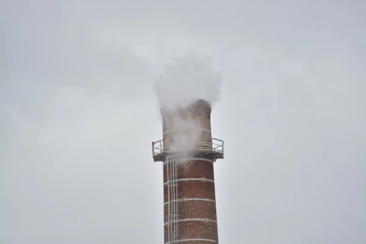    В Красноярском крае два лесоперерабатыющих предприятия загрязняли воздух