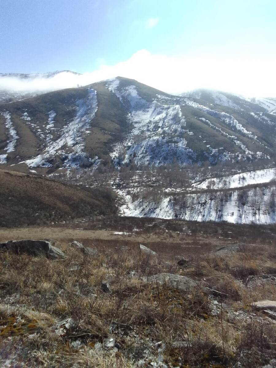 Ещё немного красоты. 