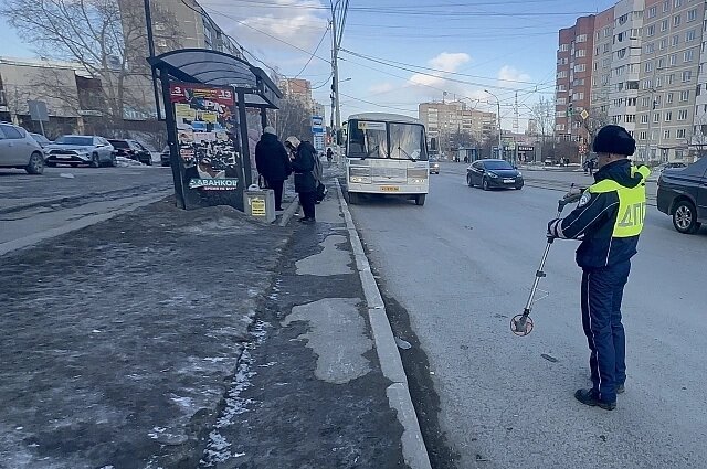    Фото: предоставлено отделением пропаганды ГИБДД Екатеринбурга