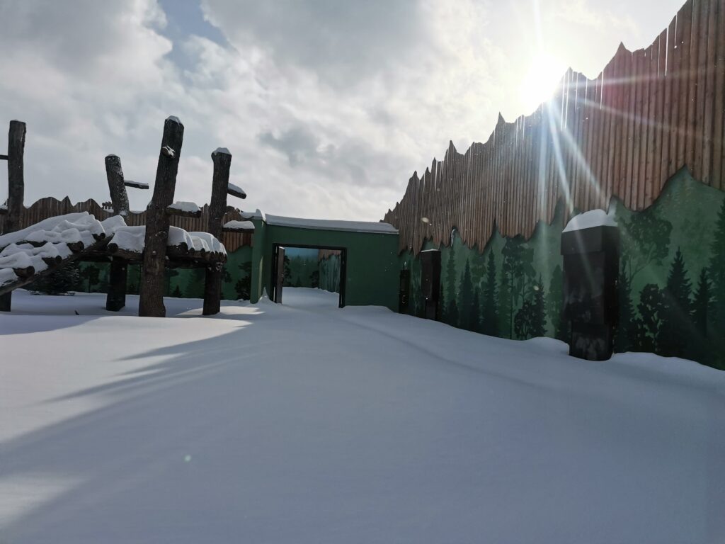    Фото: Министерство строительства Пермского края Катерина Заякина