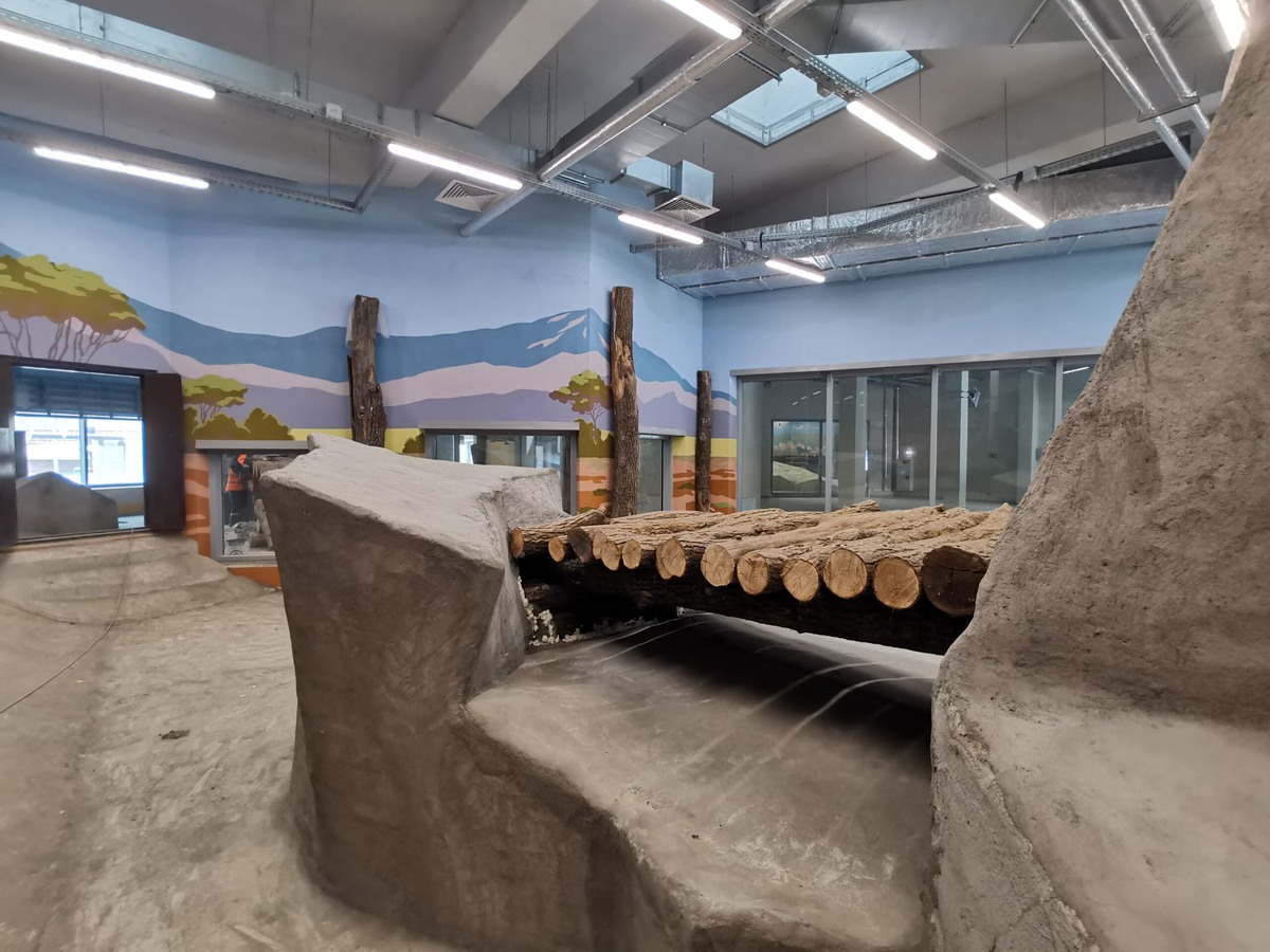    Фото: Министерство строительства Пермского края Катерина Заякина