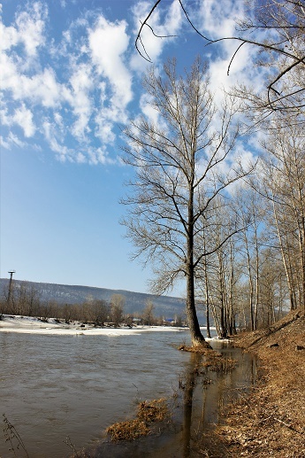 Фотографии Татьяны Немшановой. Река Сим. 8 апреля 2012.  Ледоход. Снеготаяние. Южный Урал, Уральские горы. Челябинская область. Г. Миньяр.