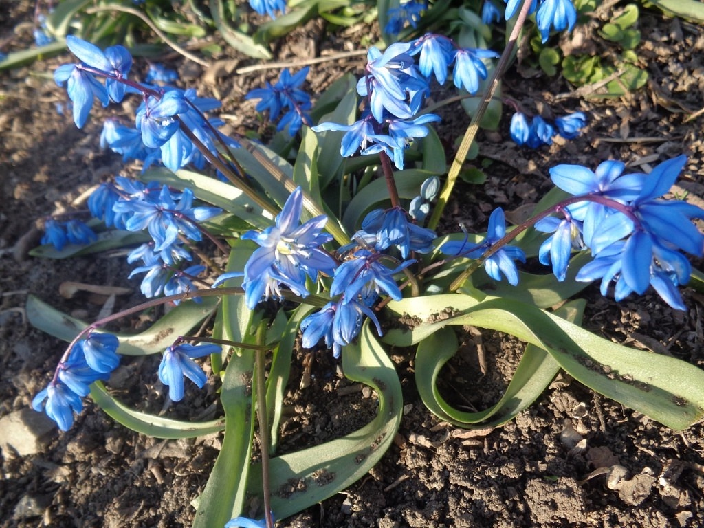 Скоро весна.