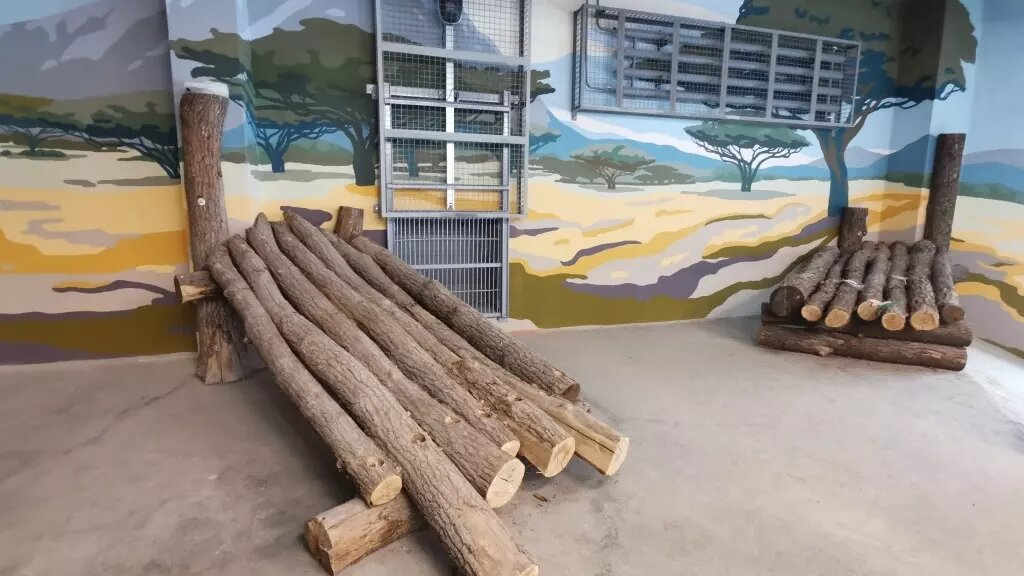     Источник: правительство Пермского края