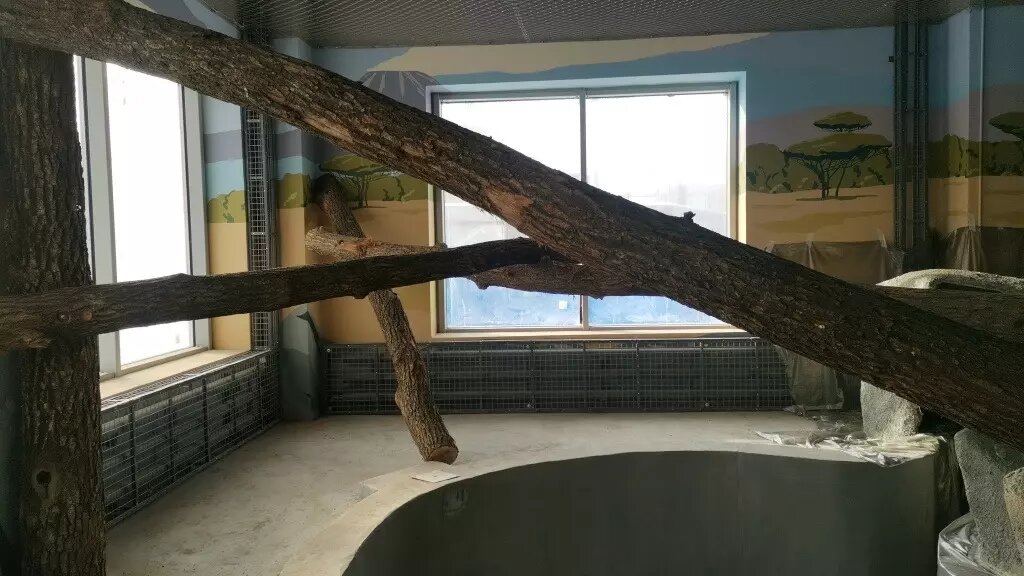     Источник: правительство Пермского края