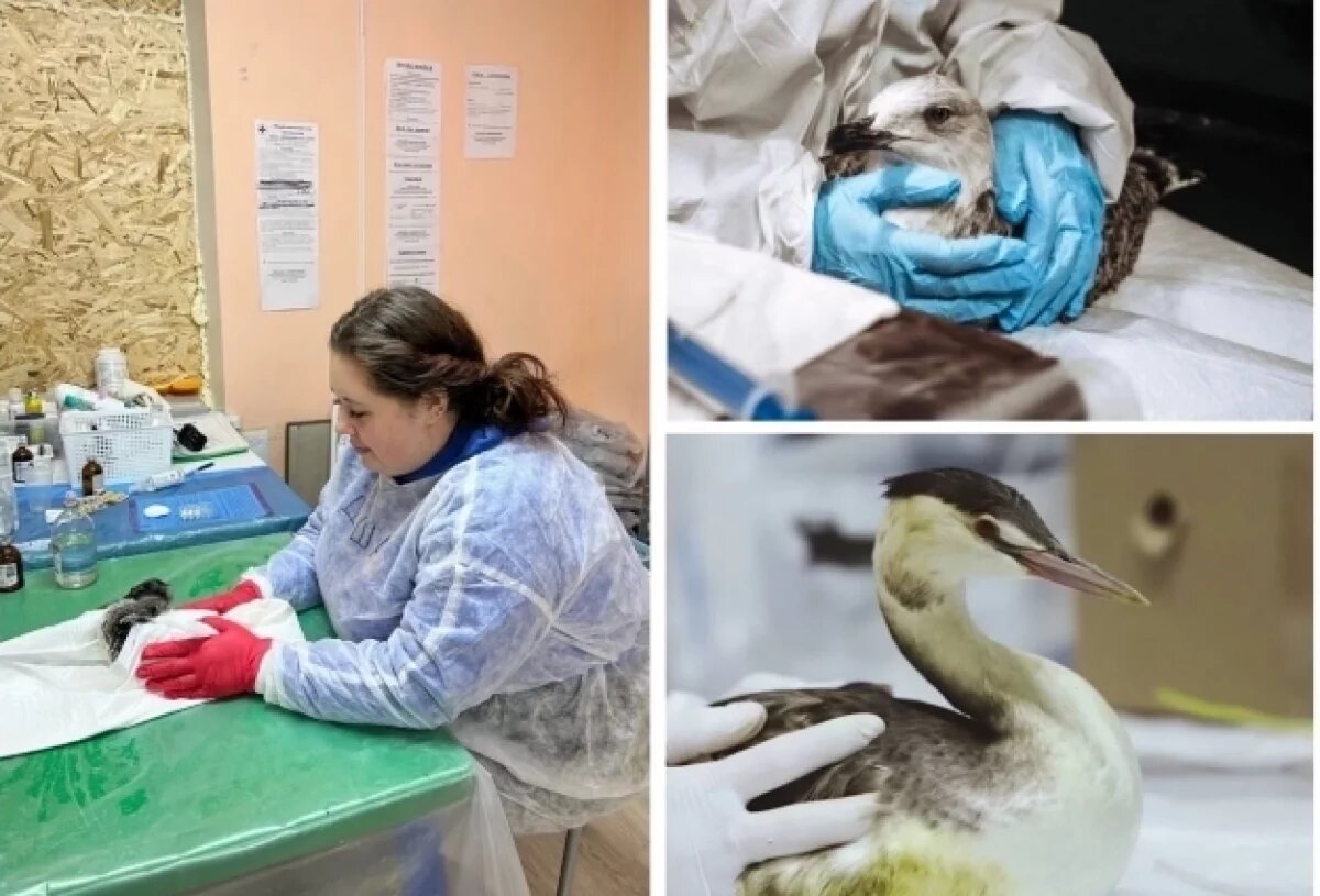    Тихие мольбы.