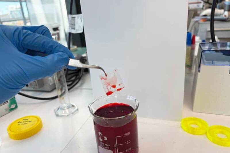 Исследователи Сиднейского университета разработали цвиттерионное покрытие, которое связывается с водой, создавая водянистый слой. Это демонстрируется на примере сердца, нарисованного с помощью такого покрытия, после погружения его в цветной пищевой краситель.