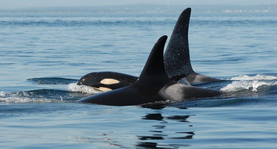    Cover Images/Keystone Press Agency / Global Look Press