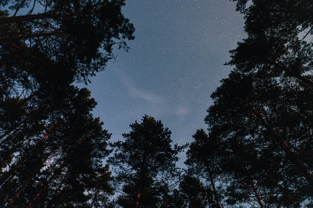 фото Ильи Мельникова