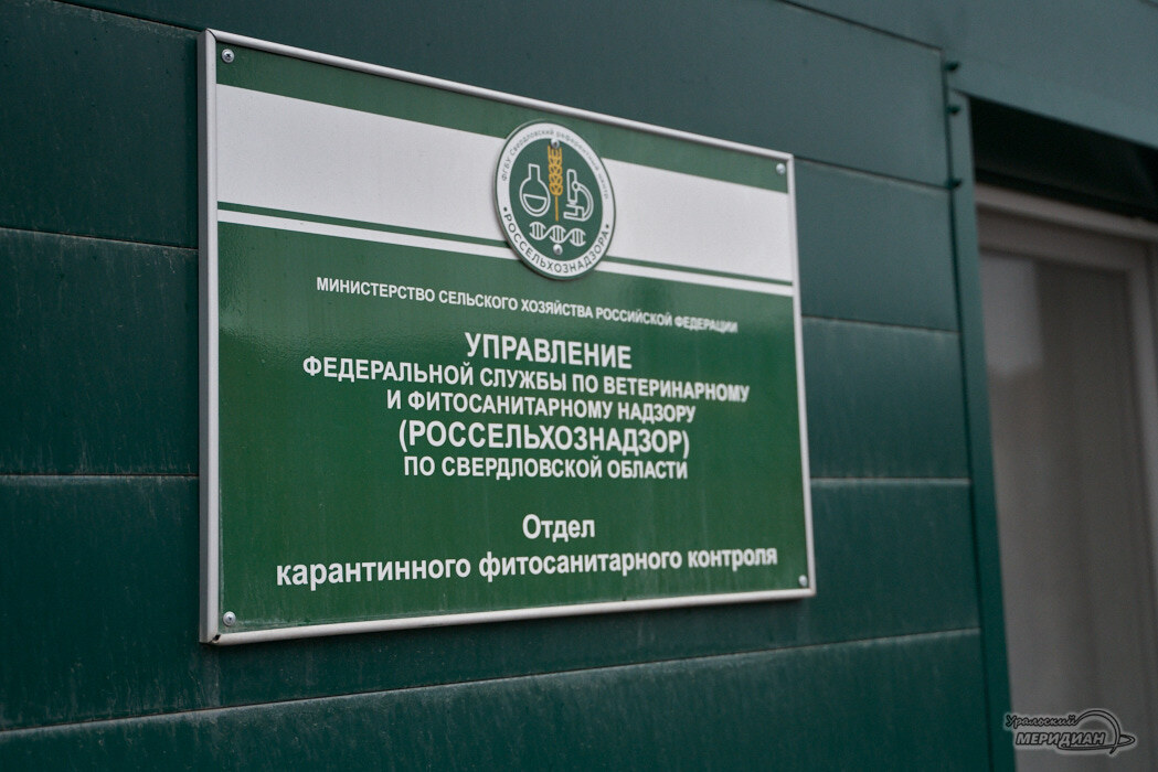    Фото Лидия Аникина © ИА «Уральский меридиан»