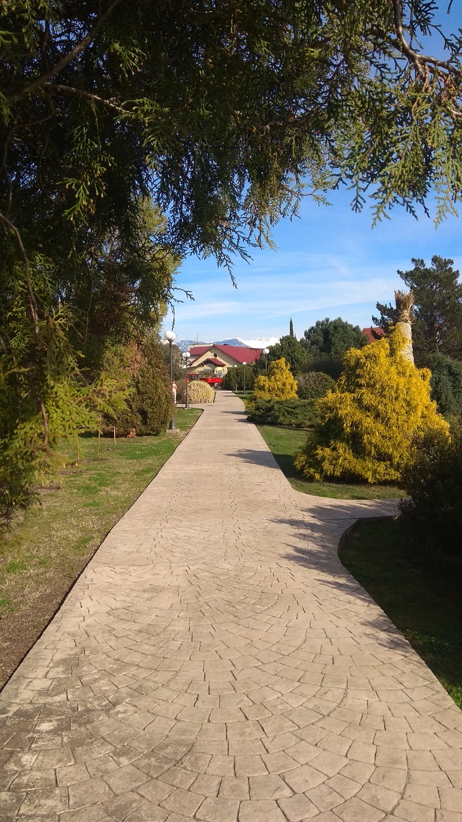 Территория парка