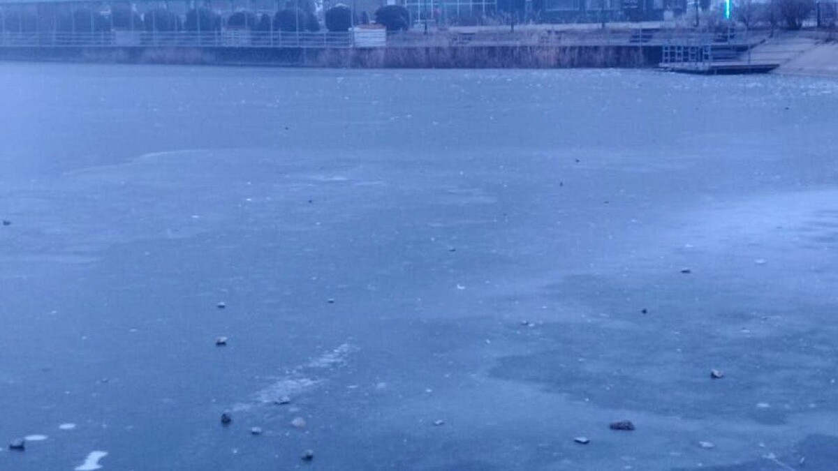    Фото: t.me/rsinyagovskij