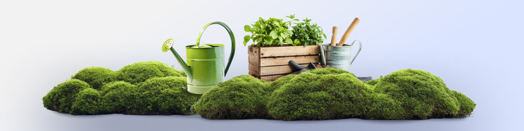 Кейс: Контекстная реклама для интернет-магазина товаров для сада и огорода