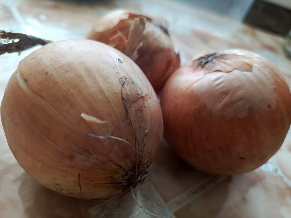 Лук нуждается ...