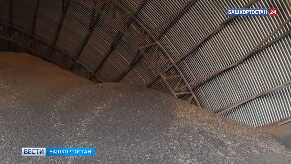    Башкирия экспортировала подсолнечный шрот в Германию и Латвию