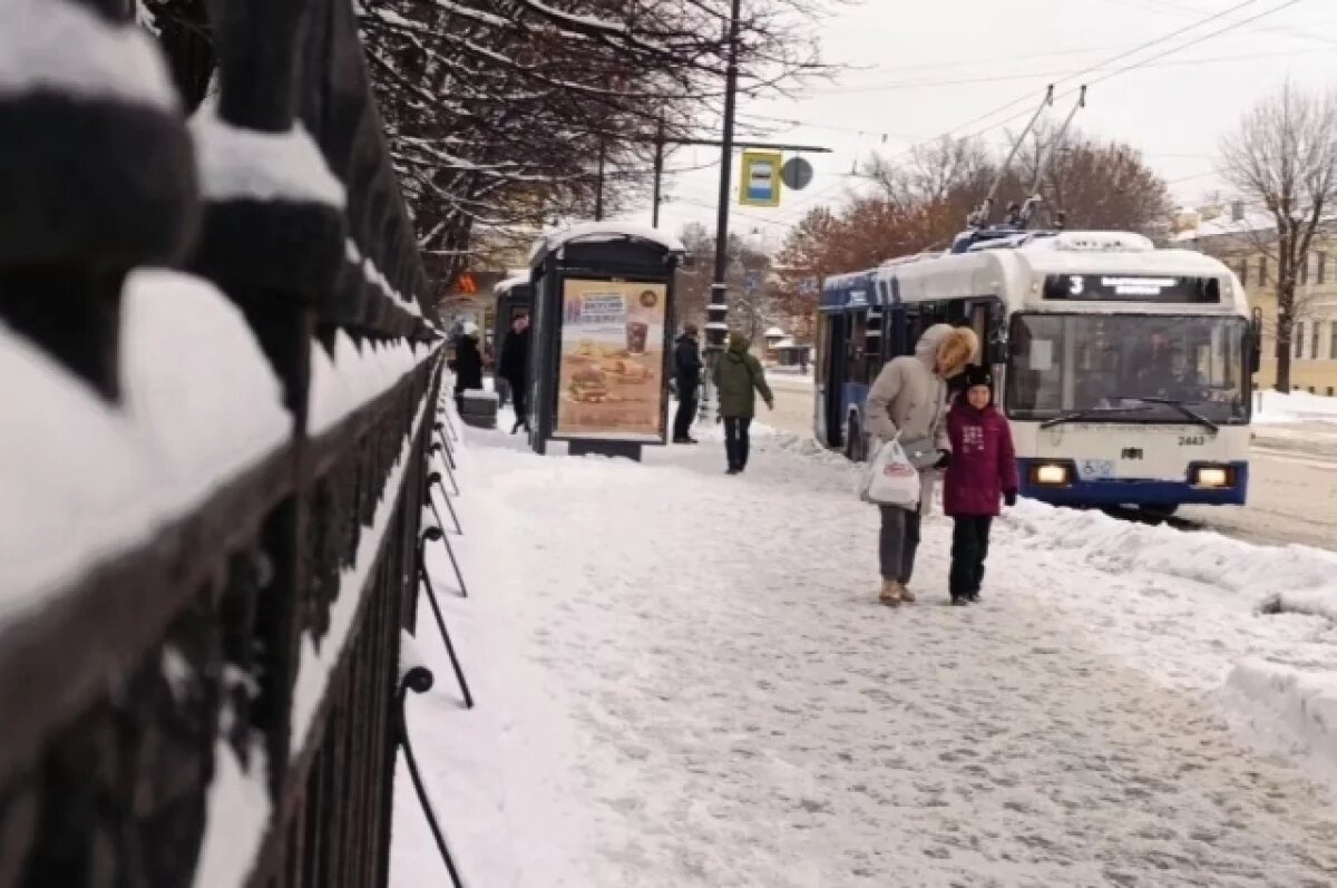    Петербургская полиция проверяет кондуктора, высадившую ребёнка из автобуса