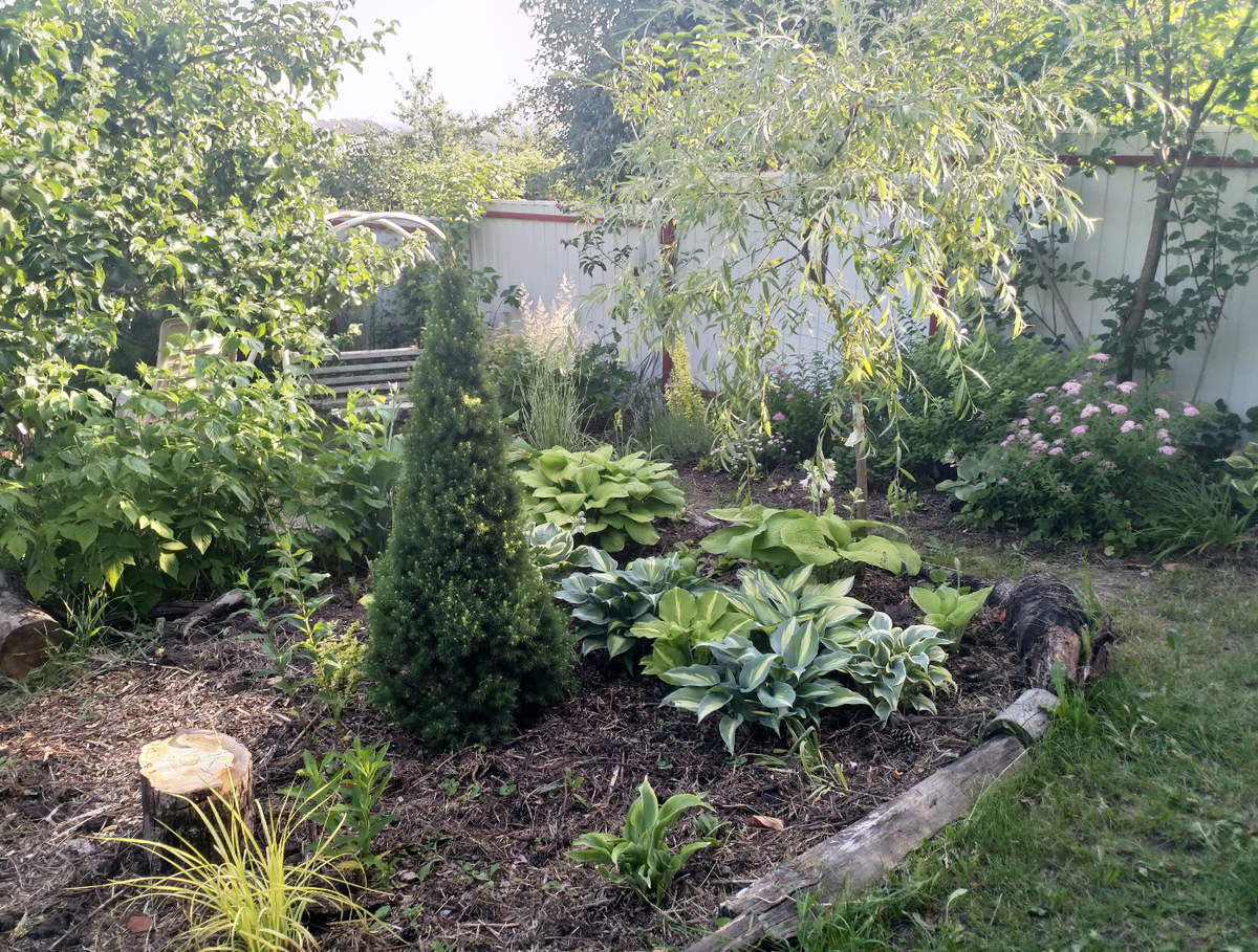 Посадки вдоль забора не для того, чтобы его полностью скрыть, а лишь смягчить