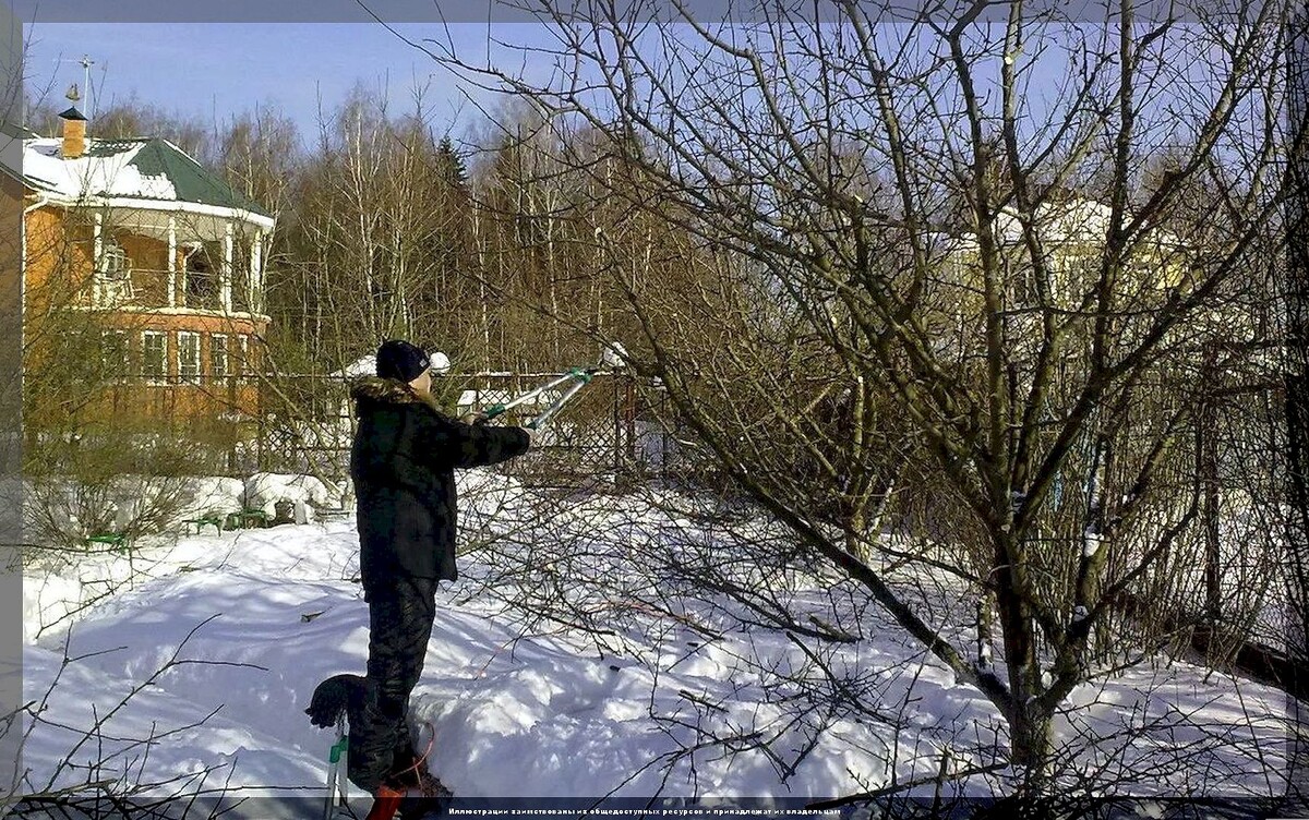 https://vk.com/photo-159774511_457269806