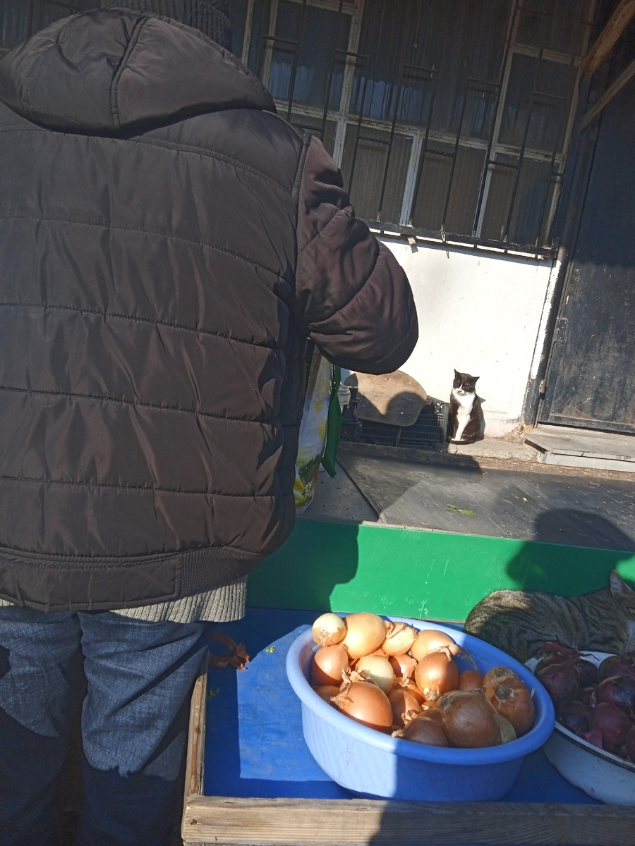 Это я хотела сфотать неудачно кота за прилавком