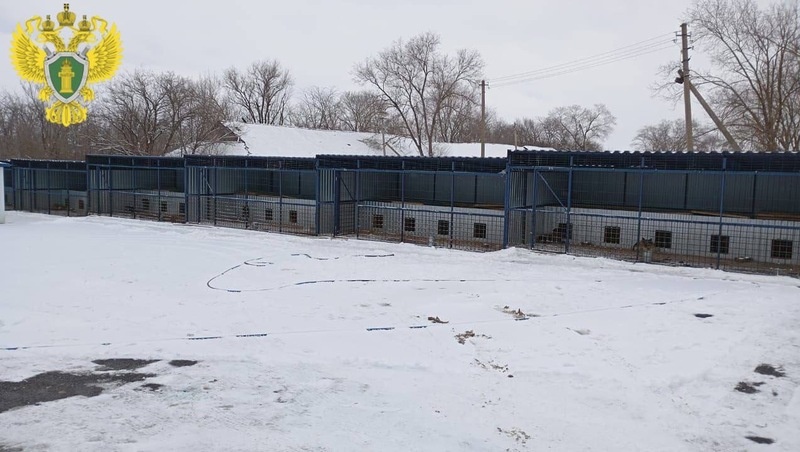      Фото: прокуратура СК