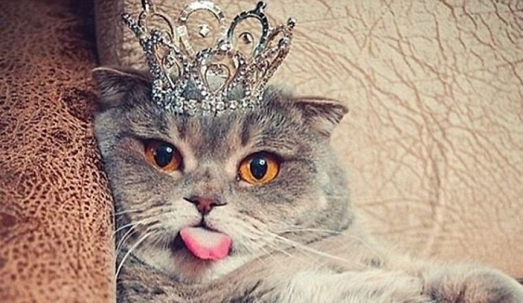 Озорная, много дурных привычек с детства.