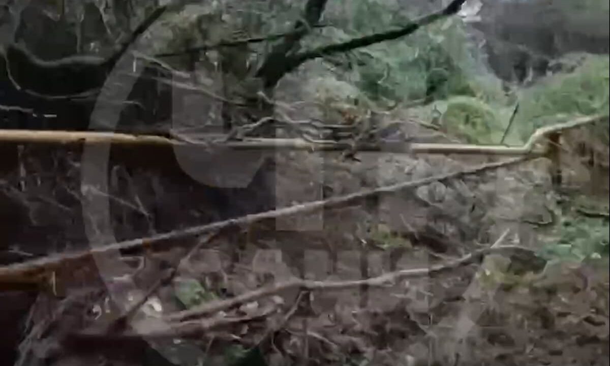    Скриншот видео t.me/chp_sochi