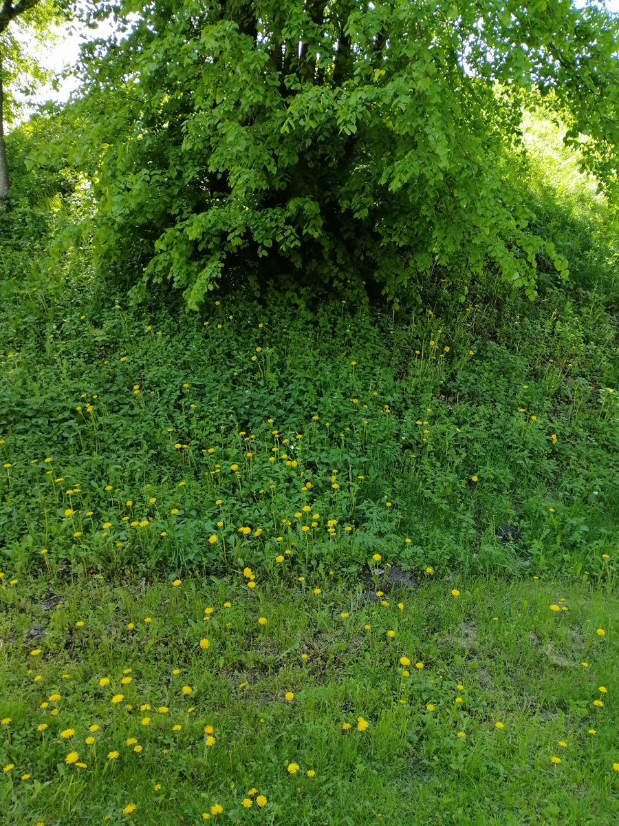 Кусочек внутреннего вала