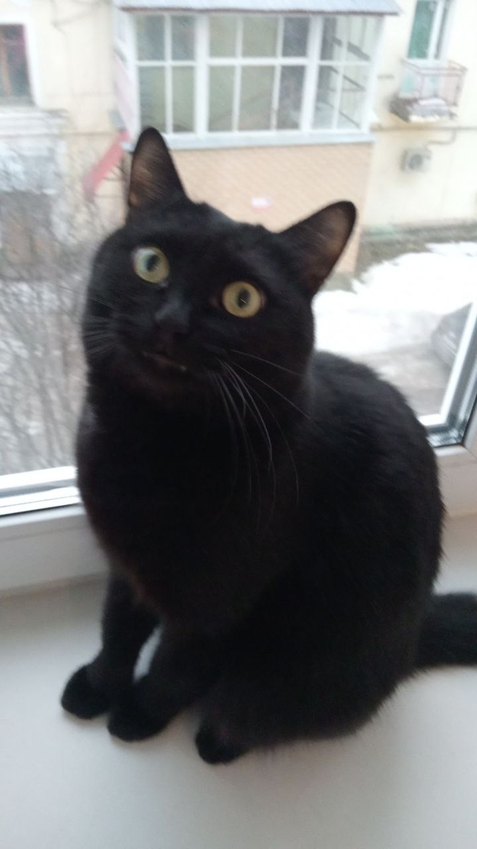 Фото автора.