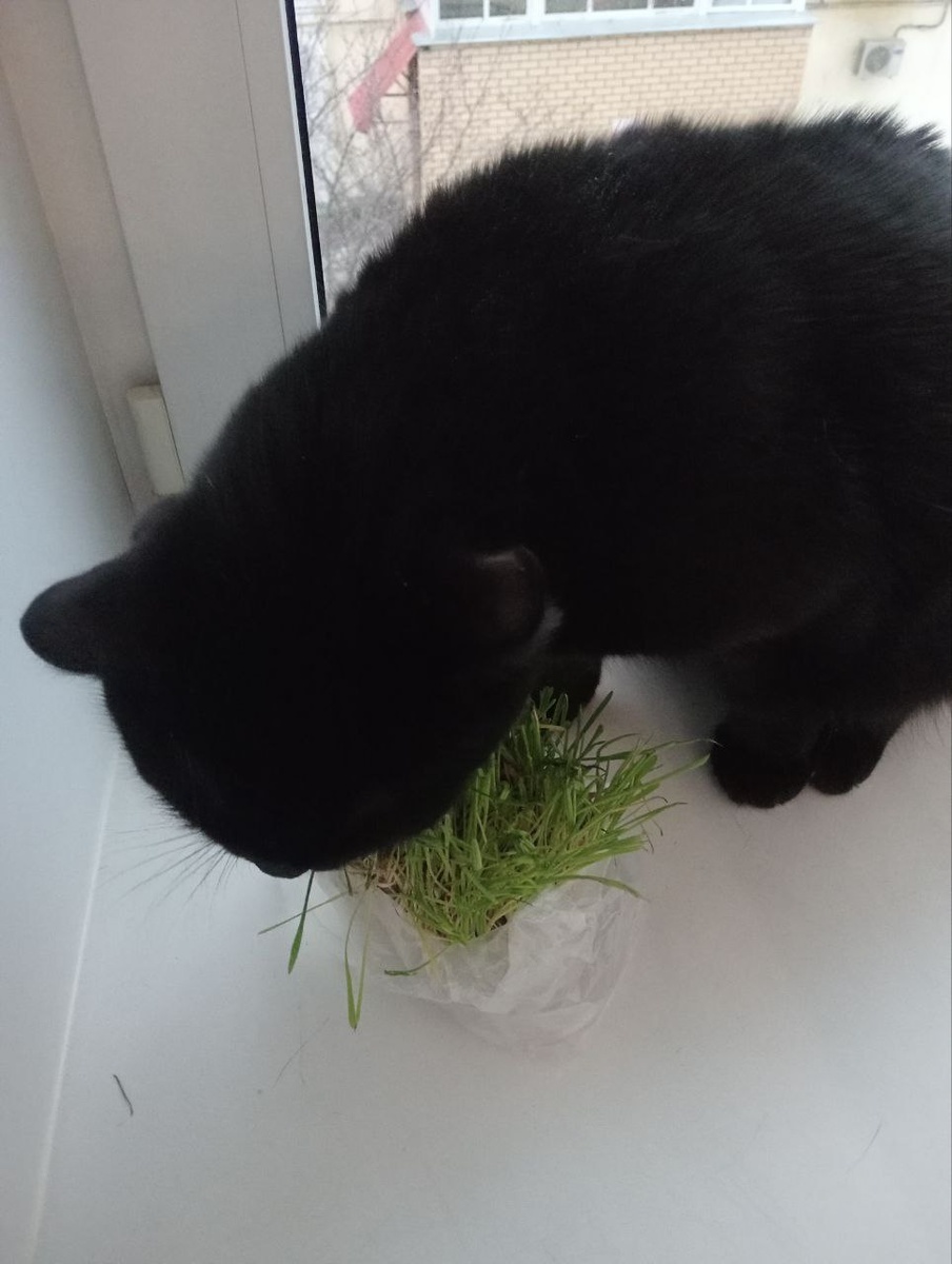 Фото автора.