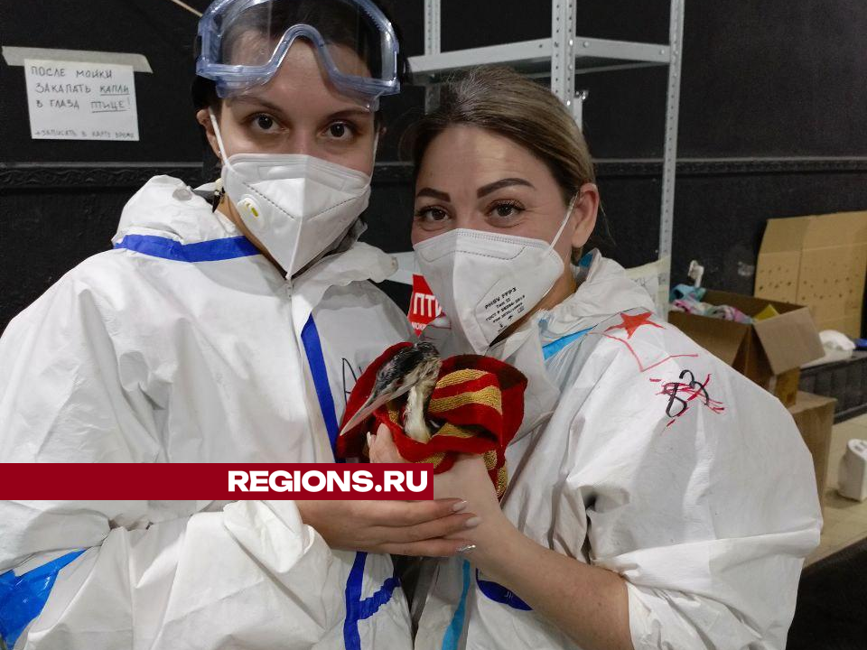     Фото: Анна Кастильо