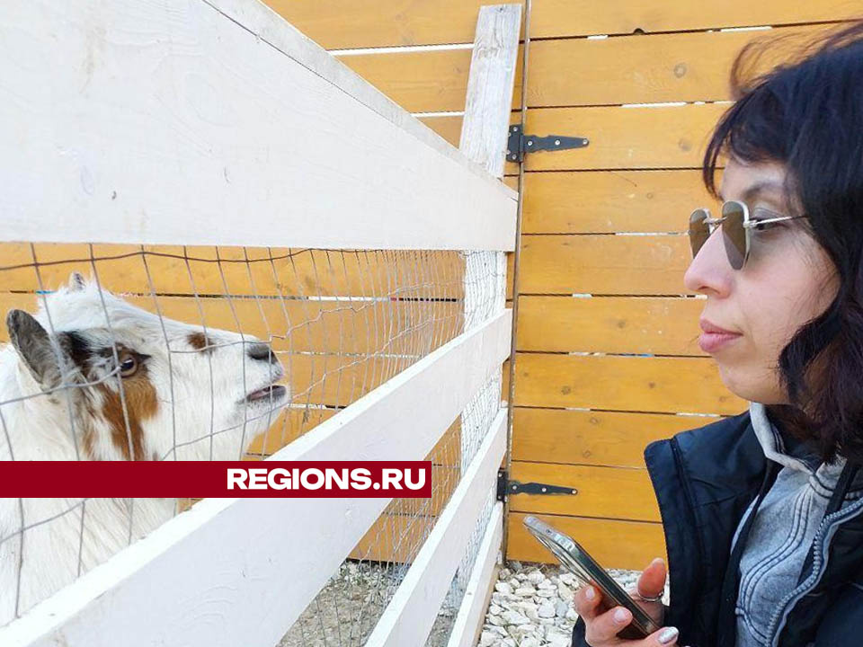     Фото: Анна Кастильо