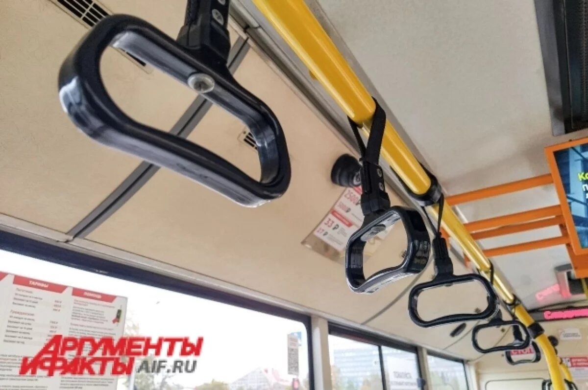    Проблемы общественного транспорта Бийска решит специальная группа