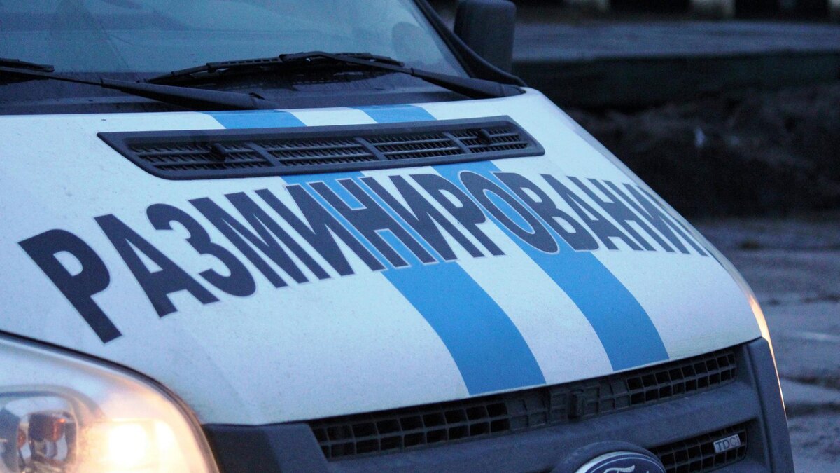    Фото: ГУ Росгвардии по Санкт-Петербургу и Ленинградской области