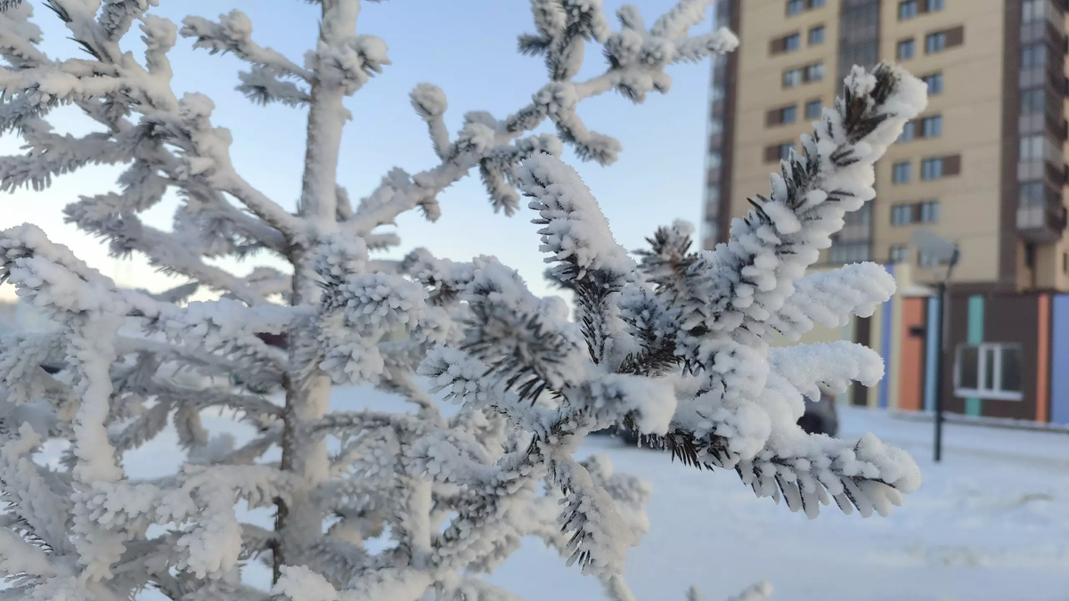 Фото: atas.info. Холодно будет весной
