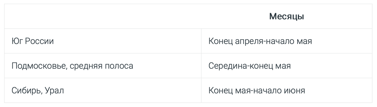 -3
